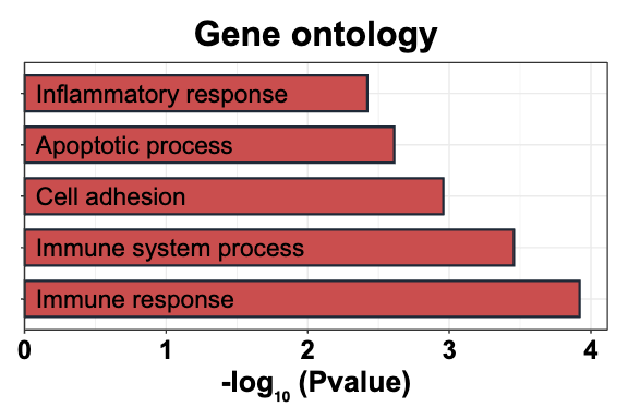 Gene Ontology plot