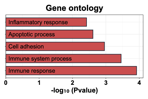 Gene Ontology plot