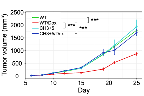 Grouped line plot