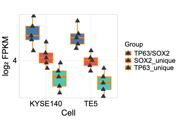 Grouped box plot with dots