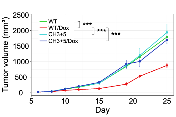 Grouped line plot with statistics